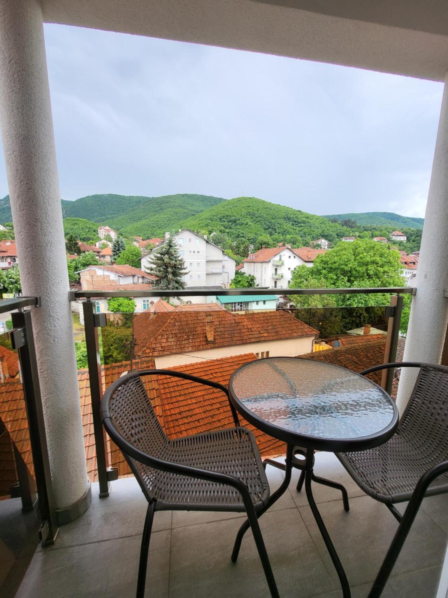 Vila Pcelica Petra Sokobanja Kamer foto
